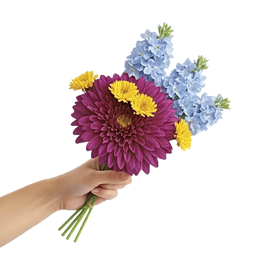 Radiant Bloom Cascade