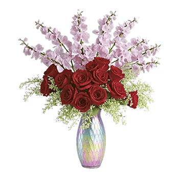 Ivory Blossom Radiance