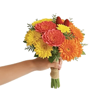 Coral Blossom Harmony