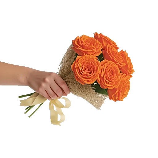 Petal Harmony Bliss