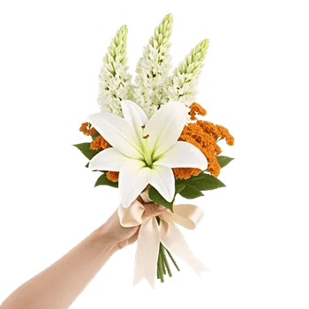 Graceful Lily Display