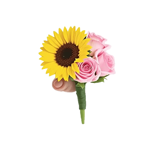 Twinkling Sunflower Dance