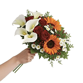 Elegant Calla Lilies