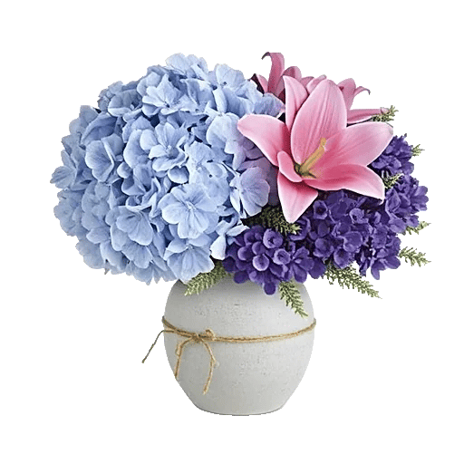 Serene Petal Harmony