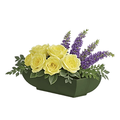 Delicate Petal Cascade