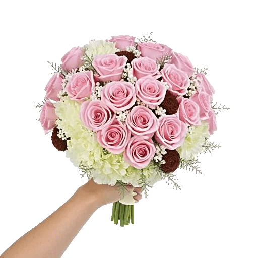 Pastel Pink Roses