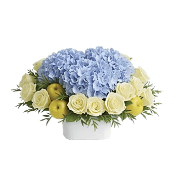 Serene Petal Harmony