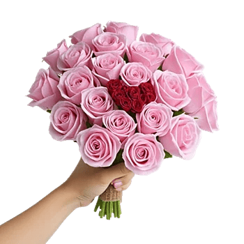 Pastel Pink Roses