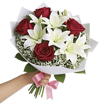 Crimson Rose Elegance