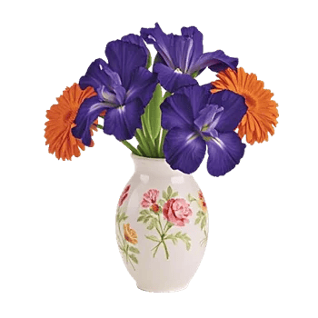 Ivory Blossom Radiance