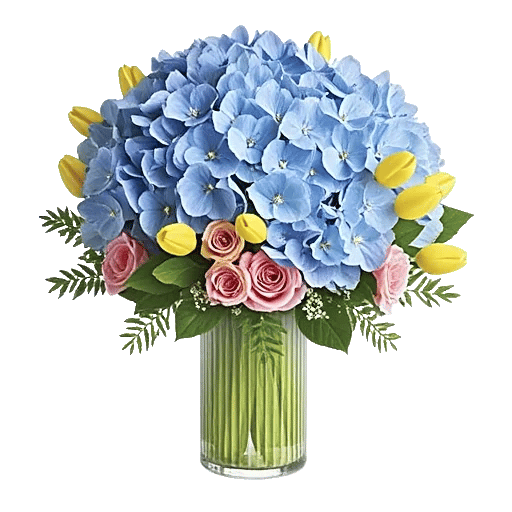 Azure Sky Blooms