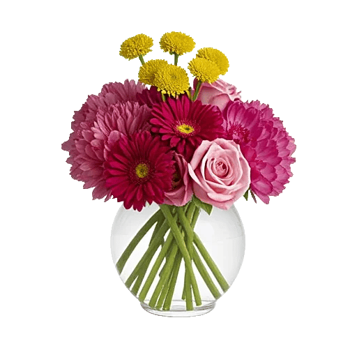 Petal Radiance Bliss