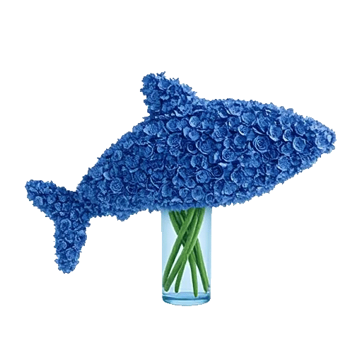 Sapphire Bloom Whisper