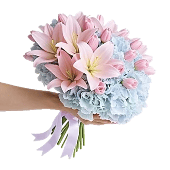 Blossom Harmony Display