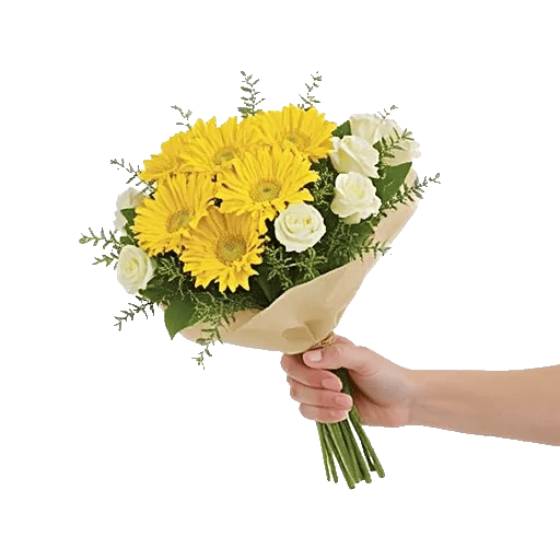 Blossom Harmony Display