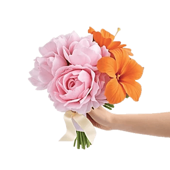 Peony Petal Harmony