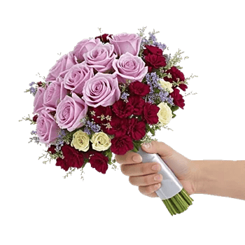 Pastel Pink Roses