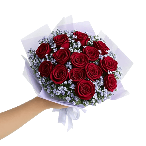 Crimson Rose Elegance