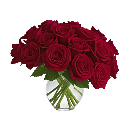 Crimson Rose Elegance
