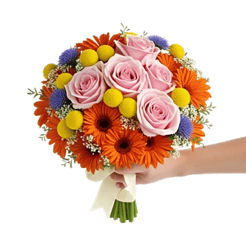 Blushing Rose Symphony