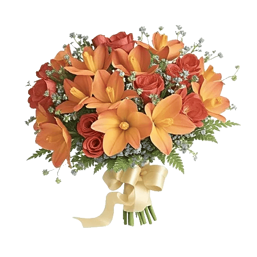 Orchid Petal Glow