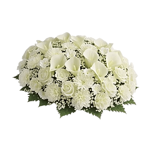 Elegant Calla Lilies
