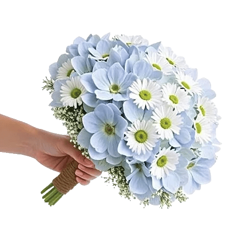 Serene Petal Harmony