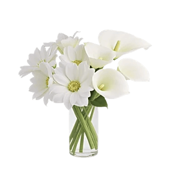 Graceful Lily Display