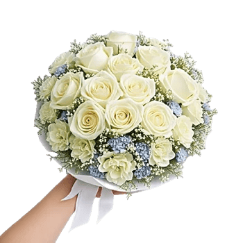 Serene Petal Harmony