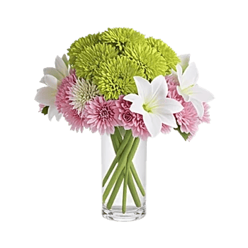 Graceful Lily Display