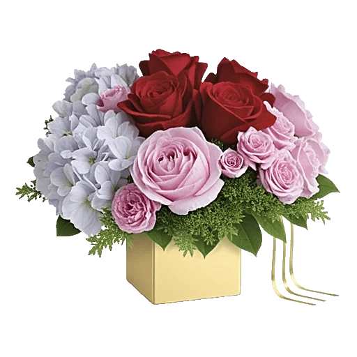 Petal Radiance Bliss