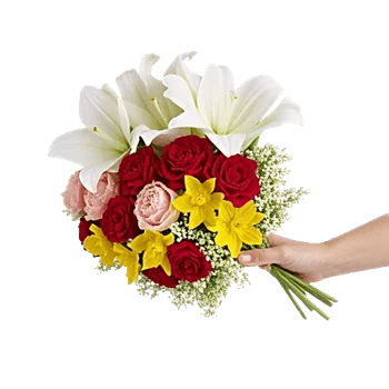 Blossom Harmony Display