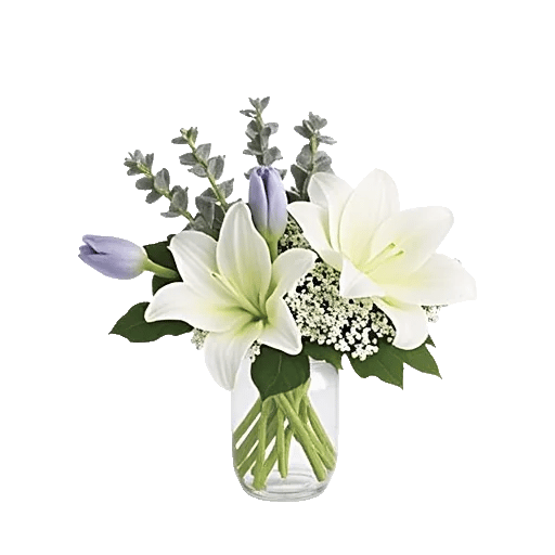 Velvet Tulip Display