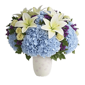 Serene Petal Harmony