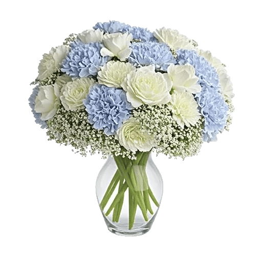 Ivory Blossom Radiance