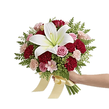 Ivory Garden Grace