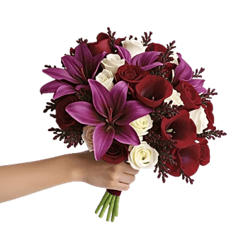 Elegant Calla Lilies