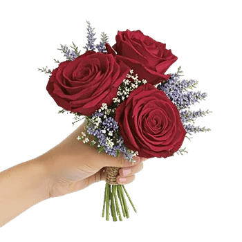 Crimson Rose Elegance