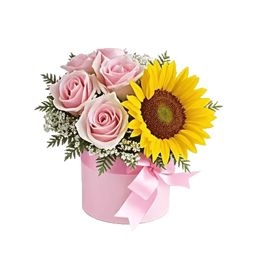 Blossom Radiant Whisper