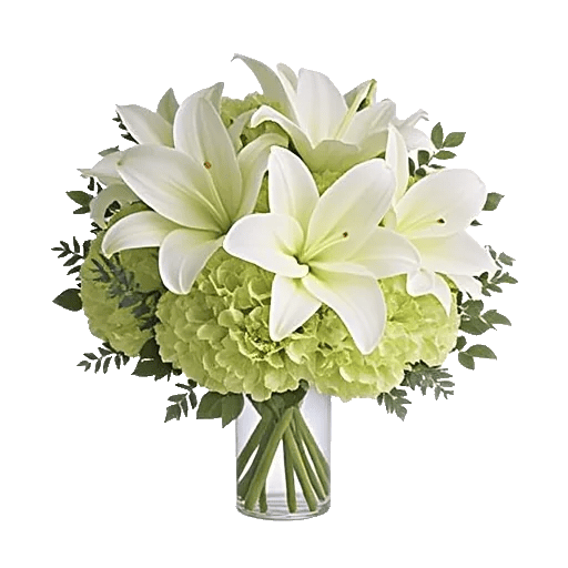 Ivory Blossom Radiance
