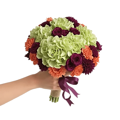 Serene Petal Harmony