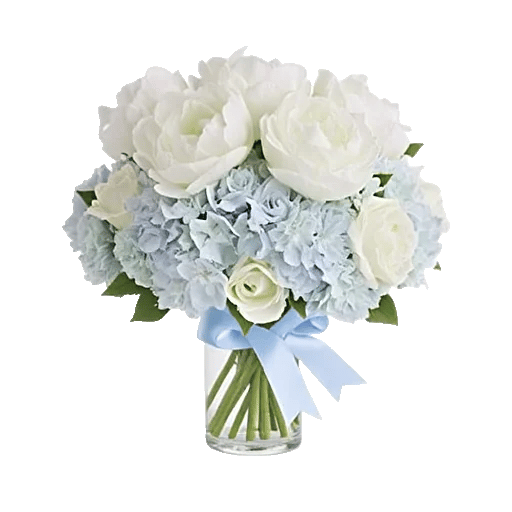 Ivory Blossom Radiance