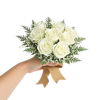 Ivory Garden Grace