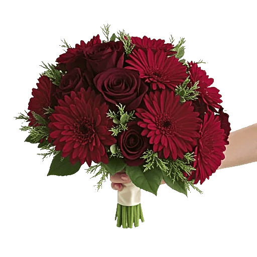 Crimson Rose Elegance