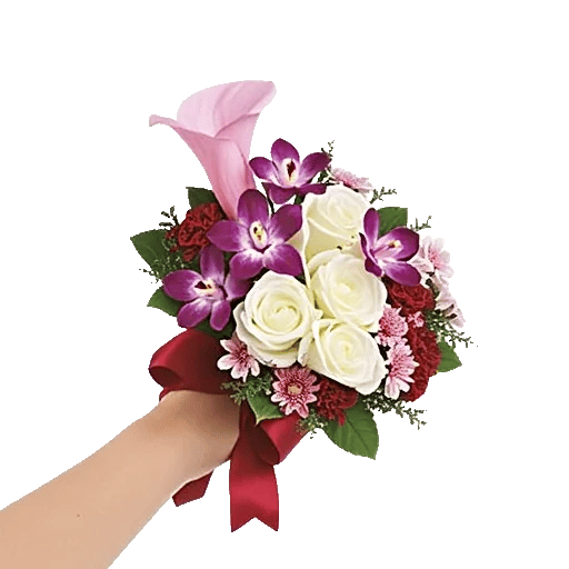 Elegant Calla Lilies