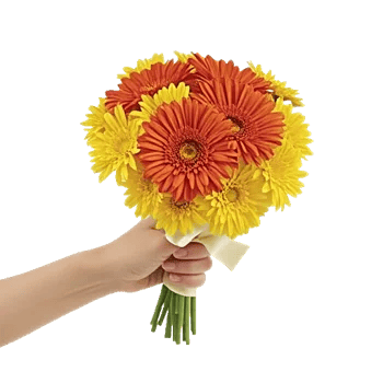 Petal Harmony Bliss