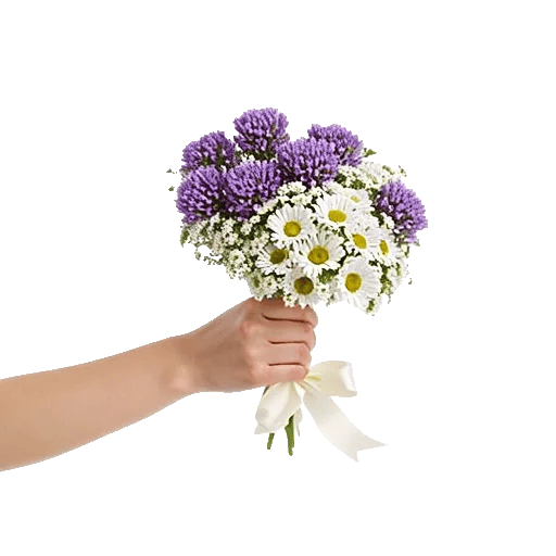 Ivory Garden Grace