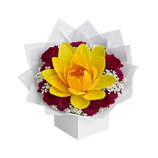 Serenity Orchid Bloom