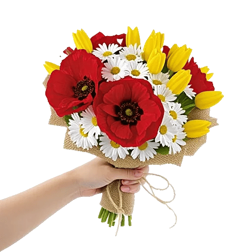 Scarlet Tulip Splendor