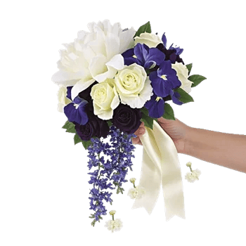 Delicate Petal Cascade